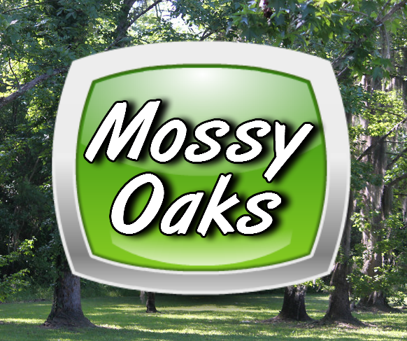 New Homes For Sale in Titusville Florida at Mossy Oaks